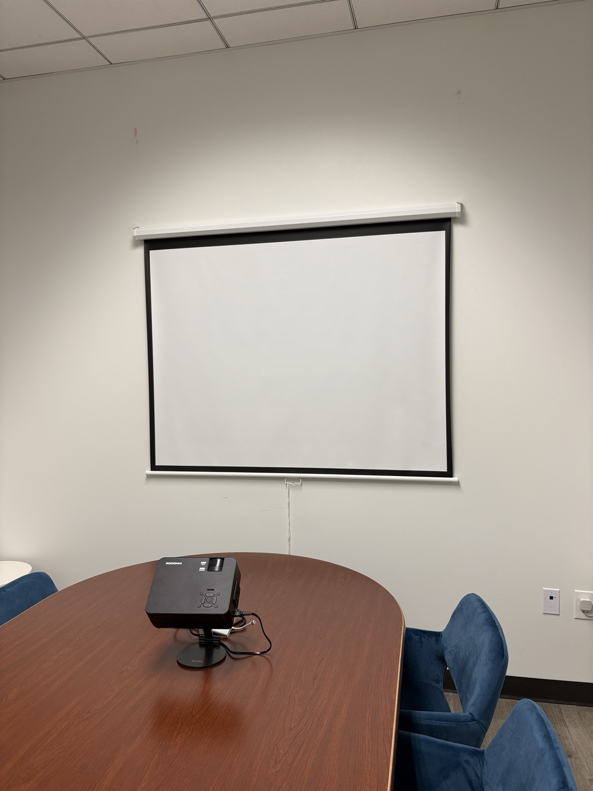 Wall-Mounted Projector Screen Installation photo 1